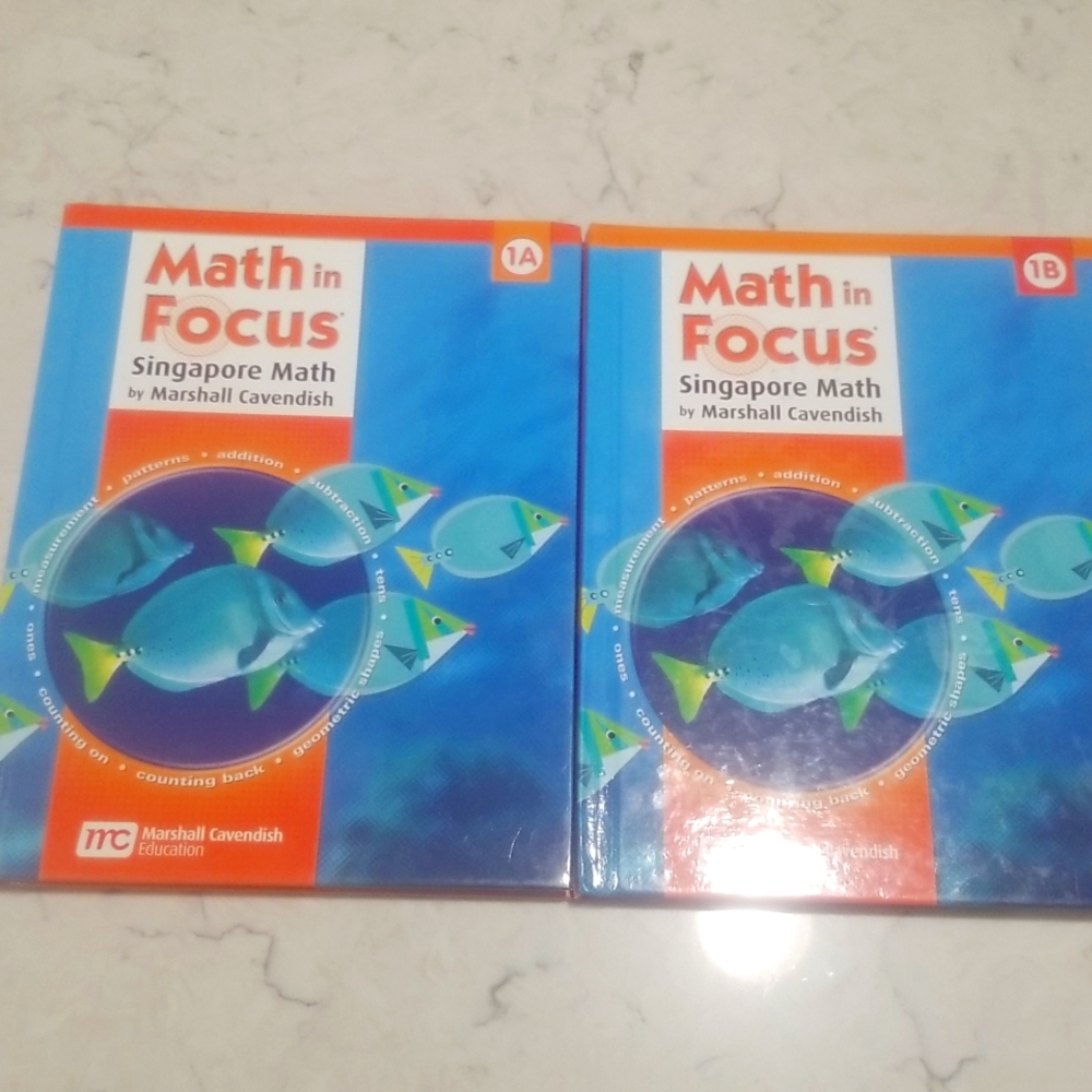 Math in Focus 1A